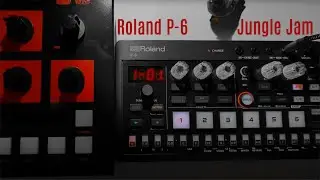 Roland P-6 Jungle Jam