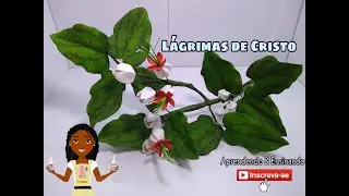 Lágrimas de Cristo Em Eva
