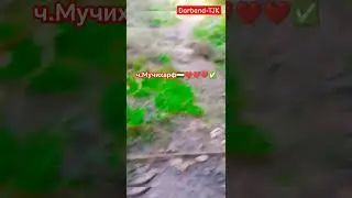 Як табиати зебои ч.Мучихарф дар н.Нуробод