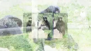 Deleted Schemes (183x3)