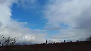 прогулка в лес