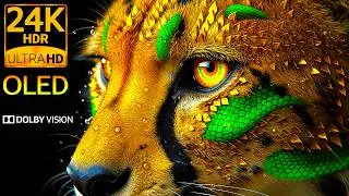 Wild Life 24K HDR 120FPS Dolby Vision OLED Test (8K/4K Video)