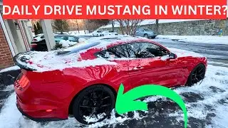 I Took My MUSTANG GT Out In The SNOW | Was It A BAD IDEA?!