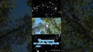 Аудиокнига. А. Кронин "ЦИТАДЕЛЬ" #shorts