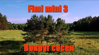 Fimi mini 3 . Облет вокруг сосен .