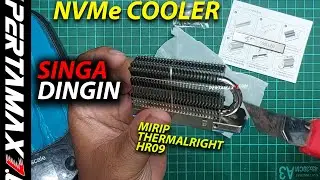 Unboxing NVMe Cooler Heatsink CoolLeo CL-SSD-V1 