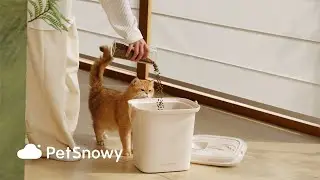 Seal the Fresh: SNOW+ Pet Food Vacuum Container
