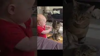 so cutie baby.. #shortvideo #cutiepie