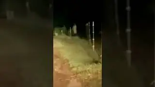 Неизвестное существо, снятое американским фермером 