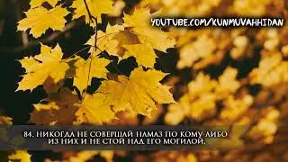 Ибрахим аль-Асири. Сура 9 «Покаяние» (81-87)