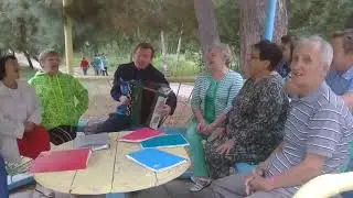 ОЙ ЦВЕТЁТ КАЛИНА/БАЯН/ЗАСТОЛЬНЫЕ ПЕСНИ 