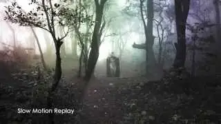 Magical Forest - Green Screen (AFTER EFFECTS)