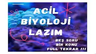 ACİL BİYOLOJİ LAZIM | BEŞ SORU FULL TEKRAR | ORGANİK BİLEŞİKLER | #yks2024 #tyt2024