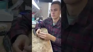 Обычный день зубного техника .