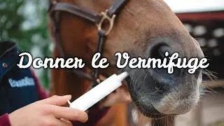 Comment donner le vermifuge à mon cheval