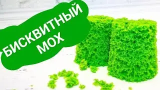 Biscuit moss. Molecular biscuit. Decoration for desserts and more.