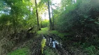 random trail i found