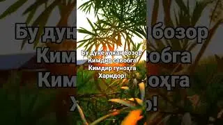 #rek #uzb #jannatga #oshiqlar #obuna #bolin хулоса узиздан достларим сог болилар