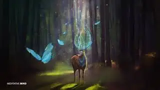Healing Forest Meditation Music