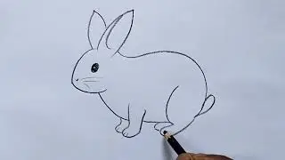 how to draw rabbit drawing easy step by step