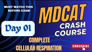 Cellular Respiration | Unveiling Glycolysis, Kreb Cycle | MDCAT| PART 01