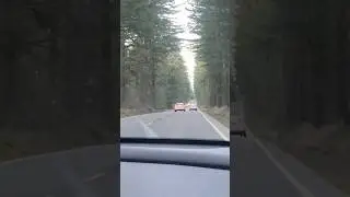 overtaking,overtake car crash,car crashes,car overtaking,car crashes in america,car overtaking fail,