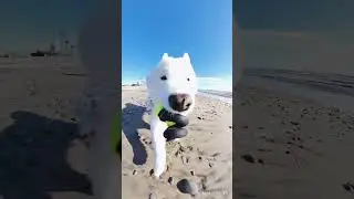 Beach days are the best days!