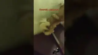 На барабане каждый сможет 😂 А попробуй на ступеньках ✌️🤩💕