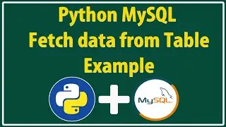 How To Fetch Data In Python From MySQL  Database |  Python MySQL Database Connection in Hindi