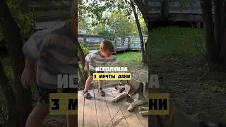 Исполнила 3 мечты Дани!