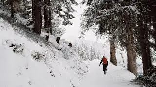 New winter