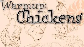 Warmup: Chickens
