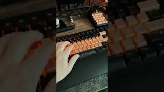 Halloween Vibes! Wooting 80HE Transformed with Stunning Copper Keys!