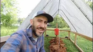 Coffee talk & Homestead Chores