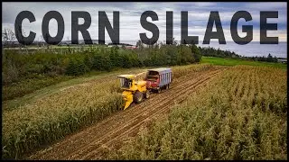 MODERN CLASSICS TACKLE CORN SILAGE 2024