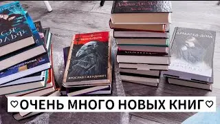 БОЛЬШЕ 30 НОВЫХ КНИГ