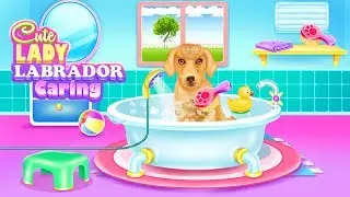 Cute Lady Labrador Caring