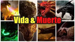 🔥 Toda la Historia de la VIDA y MUERTE de cada DRAGON en Fuego y Sangre 🔥