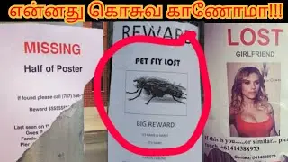 பார்த்தாலே சிரிப்பு வரும்😂😂 MISSING POSTERS/Info thamizha/tamil /funny video