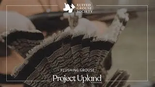 Flushing Grouse – A Grouse Hunting Film Trailer