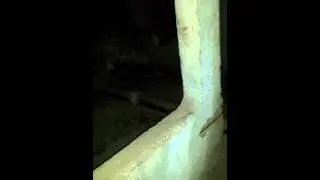Экскурсия по Чернобылю Часть 1!