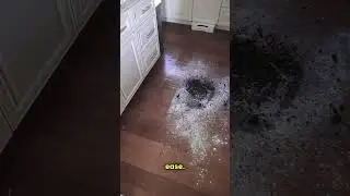 What a MESS! 🤮  But can our Robovac beat it? S10 to the rescue! 🦸🏻‍♀️