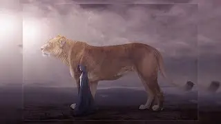 Photoshop Manipulation #27 - (The Big Lion)