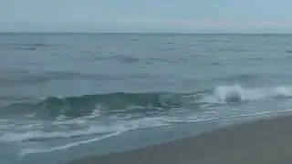 Mar. 