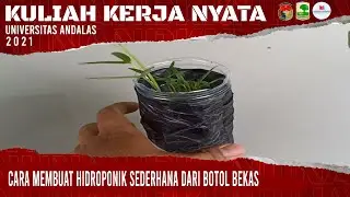 CARA MEMBUAT HIDROPONIK SEDERHANA DARI BOTOL BEKAS | KKN UNAND 2021 - MUKOMUKO
