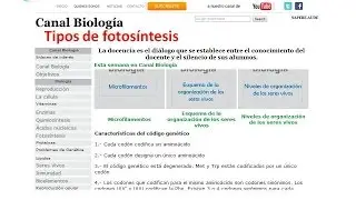 Tipos de fotosíntesis