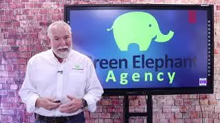 Green Elephant Agency   New Floor Lead Pros