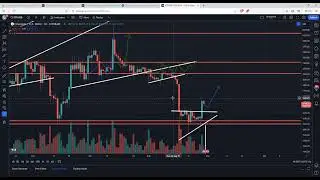 بیت کوین ETF PUMP = تله گاو نر!