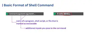 Understanding the Basic Format of Shell Commands: Arguments and Variables Explained