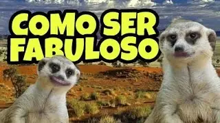COMO SER FABULOSO //  CON OSCAR LA SURICATA